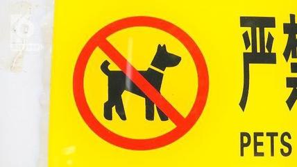 商场禁止带宠物通知模板，商场禁止带宠物通知模板怎么写