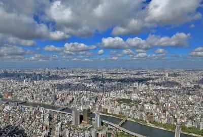 上海城市面积有多大，上海的城市面积排名