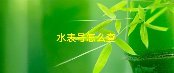 怎么查询自家水表户号，怎么查询自家水表户号到物业不给