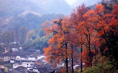 10月适合去哪里旅游国内旅游