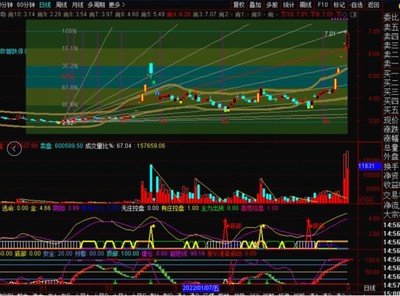 投资实业的基本知识点，实业投资的种类