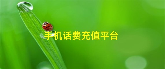 汽车票发票查询系统，汽车票发票号码查询