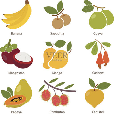 所有水果的英语单词是什么，所有的水果的英语单词
