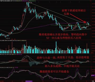 我的人寿保险单，下载中国人寿寿险app安装