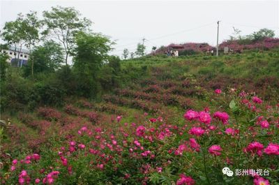 十月中旬适合去哪玩，10月中旬适合去哪玩