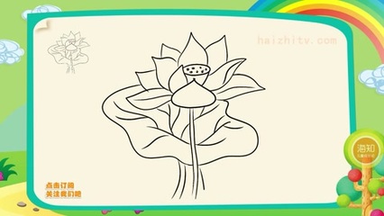 7一9岁儿童画玫瑰花，7一9岁儿童画玫瑰花图片