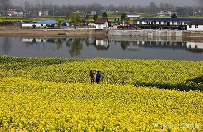 甘肃最适合居住的城市排名，甘肃最宜居的地方