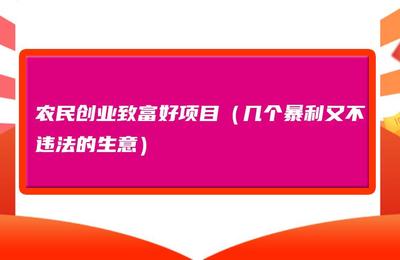 10个暴利又不违法的生意，适合一个人倒腾的生意