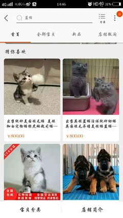 猫不想要了宠物店收吗，宠物养不了该送哪里去