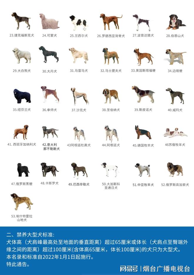 48种禁养犬名单，中国允许养的大型犬
