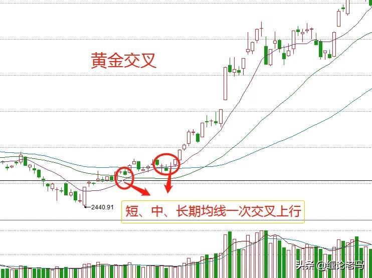 投资股票知识体系图解视频，股票投资基本常识