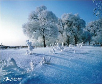 东北旅游必去十大景点冬季，东北冬季旅游最佳去处