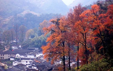 10月11月份适合去哪里旅游，十一月哪些地方适合旅游