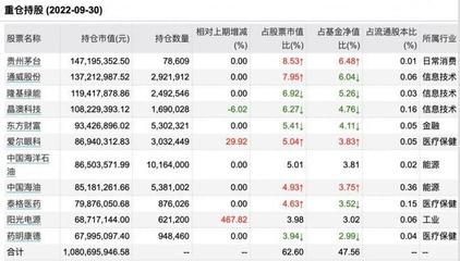 股票投资女神知识，股票投资技术入门20讲第十讲