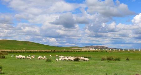 内蒙古最大的草原排名，内蒙古什么大草原是中国最大的草原