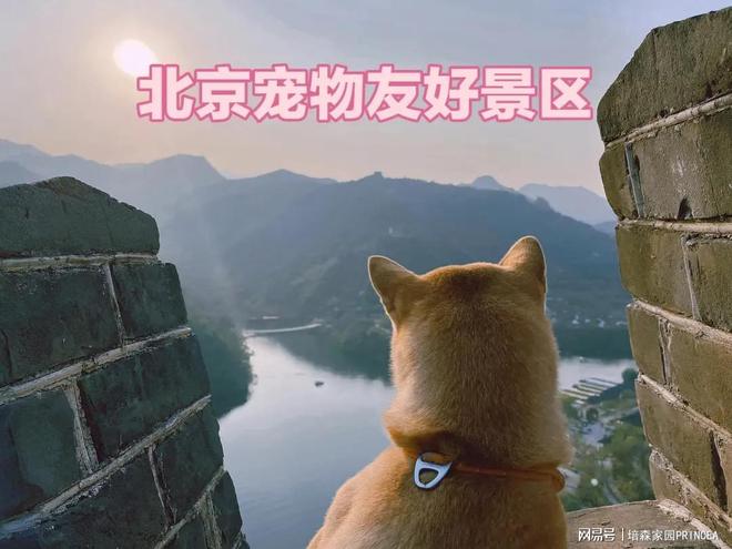 北京能带宠物玩的地方，北京哪里可以带宠物游玩