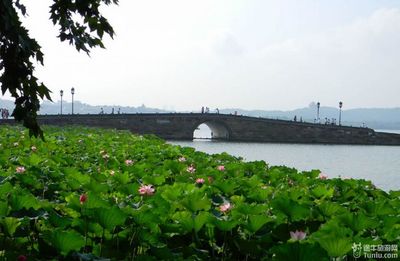 杭州一日游攻略，杭州一日游攻略自由行