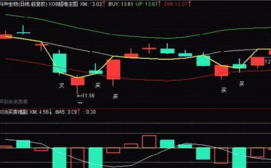 投资股票入门知识大全视频下载，股票投资入门指南