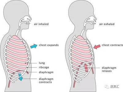 胸下垂自己可以纠正吗，胸下垂怎么能提上去