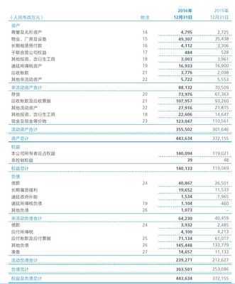 华为资产负债表，华为资产负债表新浪财经