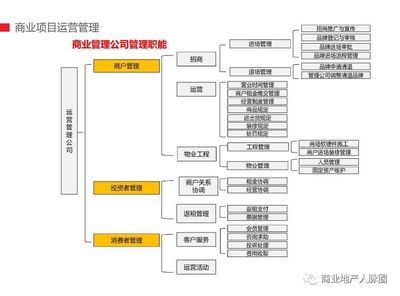 商管公司组织架构图，商管公司组织架构图怎么做