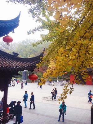 南京一日游最佳路线推荐，南京一日游旅行社跟团