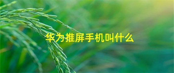 华为推屏，华为手机推屏设置