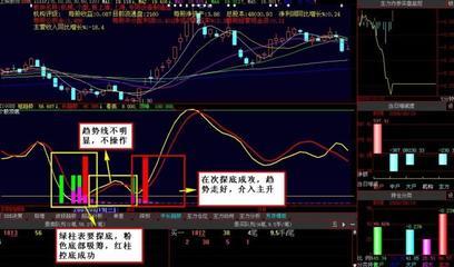 股票投资知识点汇总，投资股票的基本知识