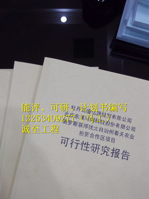 可行性报告代写公司河南漯河，代写项目可行性报告公司