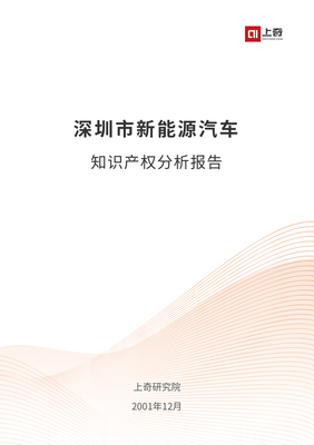 知识产权发展与投资报告，知识产权战略研究报告