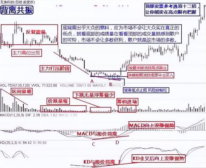 股票投资高手必备知识，股票投资高手必备知识和技能