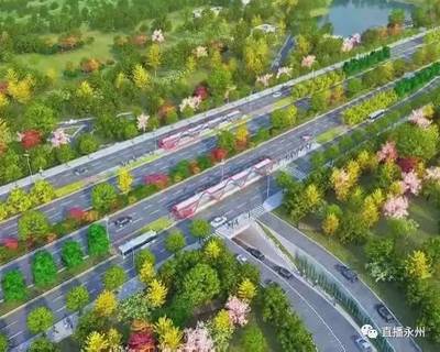 什么是城市快速道路，城市快速路的认定标准