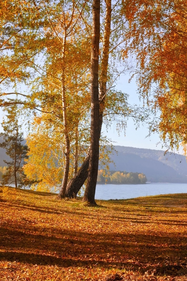 自然风景图片壁纸真实，自然风景图片库