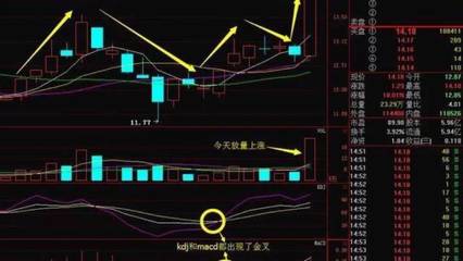 投资期货现货入门知识点，期货投资入门资金