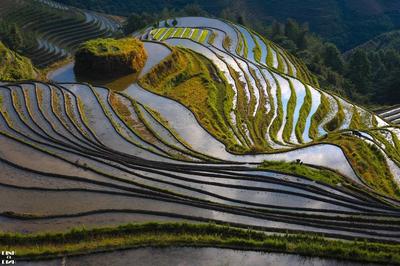 附近最近的旅馆住宿50元，附近旅店宾馆50元地址最近的