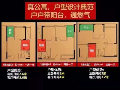 深圳龙岗公寓楼盘价格，深圳龙岗公寓楼盘价格表