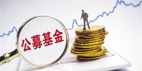 公募基金投资小知识点大全，公募基金讲解