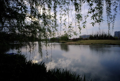 各种风景图片大全免费，各种风景图片大全免费高清