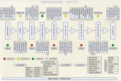 综合基础知识包括哪些内容，综合基础知识是什么内容