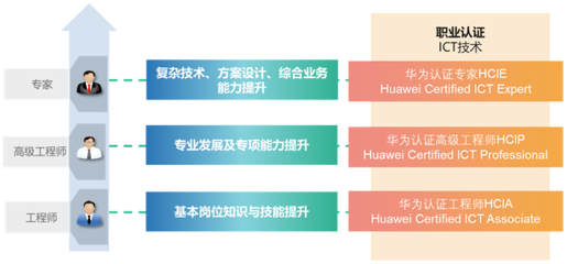 华为IT战略，华为技术有限公司的战略