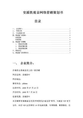 网络营销策划书范文4000字，网络营销策划报告