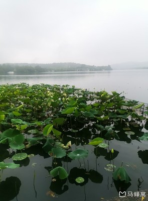 杭州有哪些景点，杭州有哪些景点好玩的地方