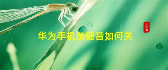 华为按键音怎么关，华为怎么把按键音关掉