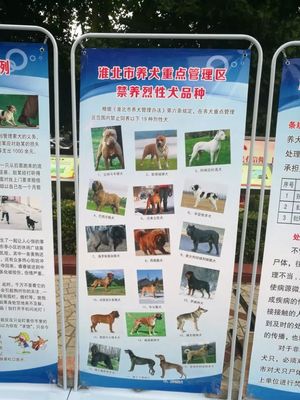 成都市养犬管理条例2023，成都市养犬管理条例2021