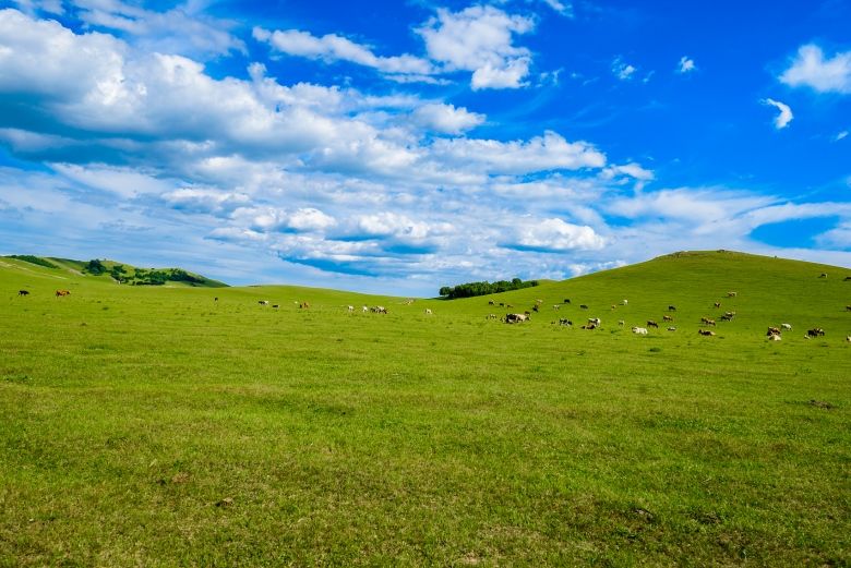 内蒙古旅游景点攻略，内蒙古旅游景点攻略大全