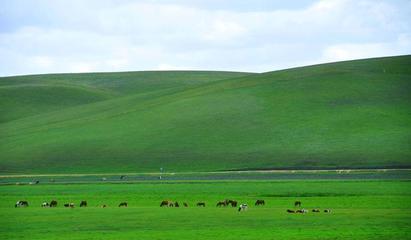 内蒙古旅游排行榜前十名，内蒙古旅游榜单
