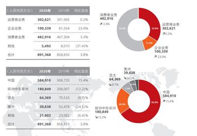 华为年度报表，华为 年度报告