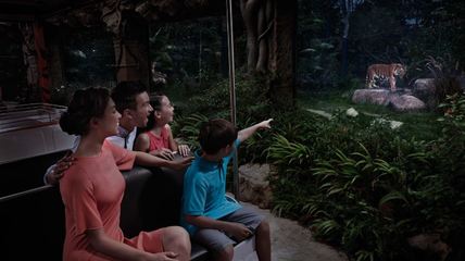 新加坡夜间动物园门票，新加坡夜间动物园门票可以退吗