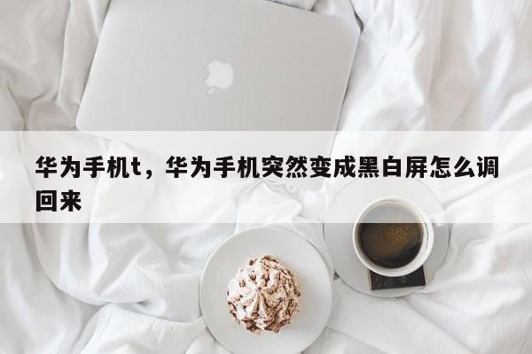 华为手机t，华为手机突然变成黑白屏怎么调回来