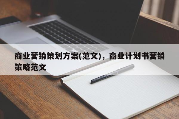 商业营销策划方案(范文)，商业计划书营销策略范文